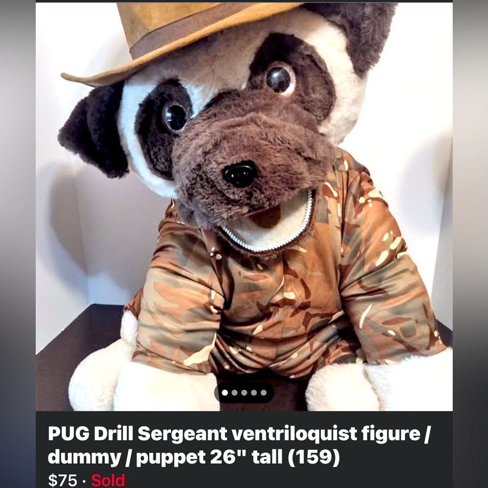 ISO!! 26” PUG ventriloquist 
Plz help me find him OR one of the Axtell turtles